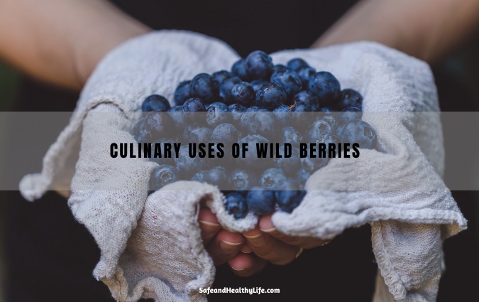 Culinary-Uses-of-Wild-Berries.jpg